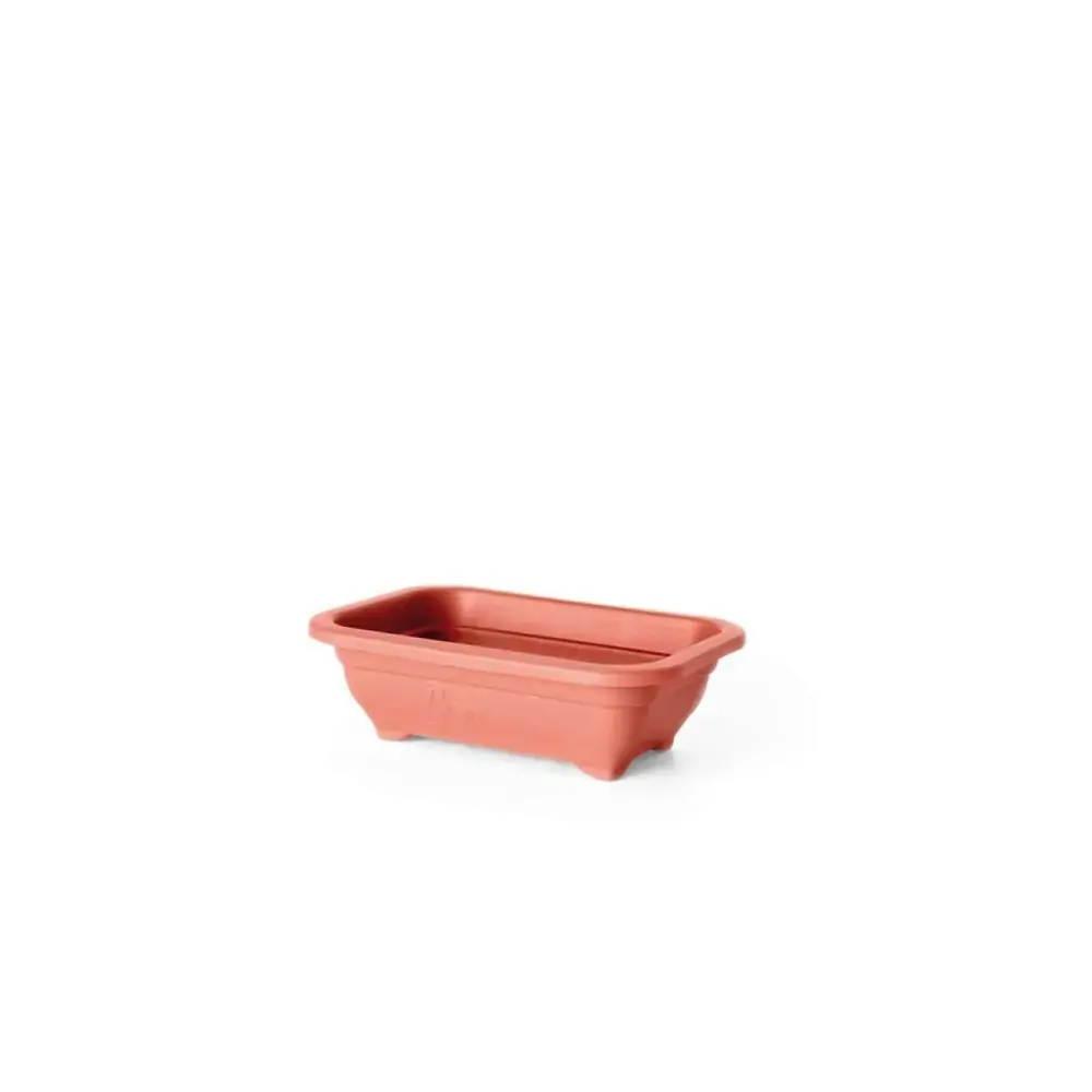 Vaso Bonsai Mini