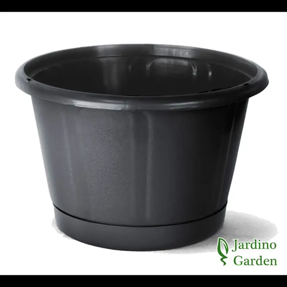 Cuia Nobre 02 C/prato Preto Nutriplan