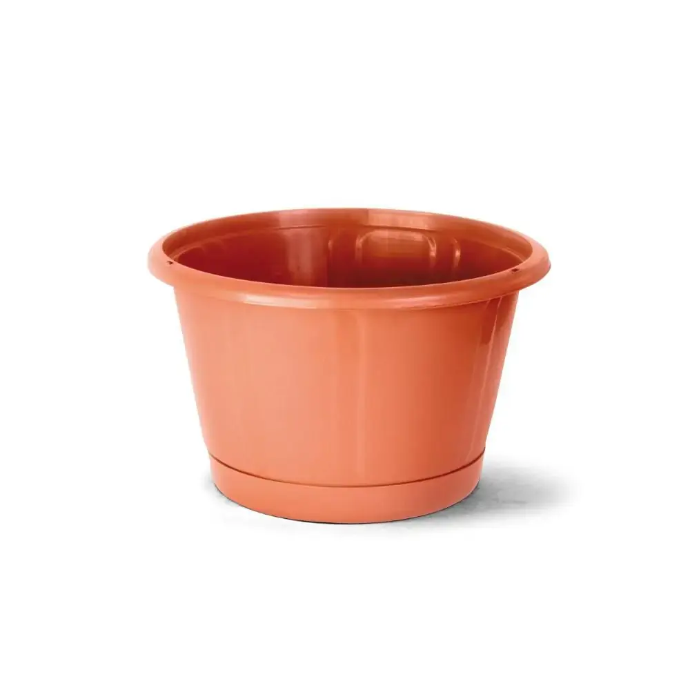 Cuia Nobre 02 C/prato Ceramica Nutriplan