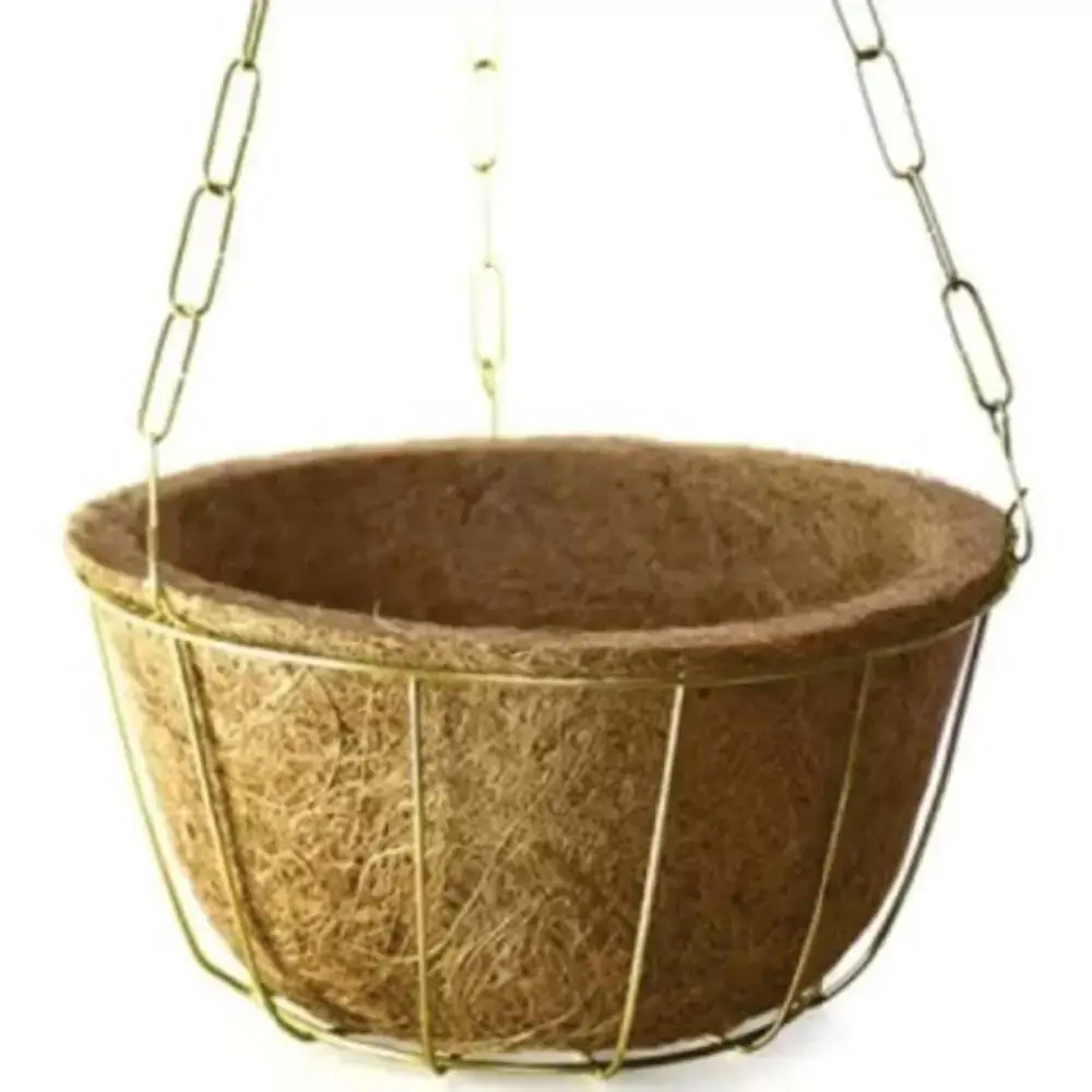 Vaso Nutricoco Kit Cuia Pequeno