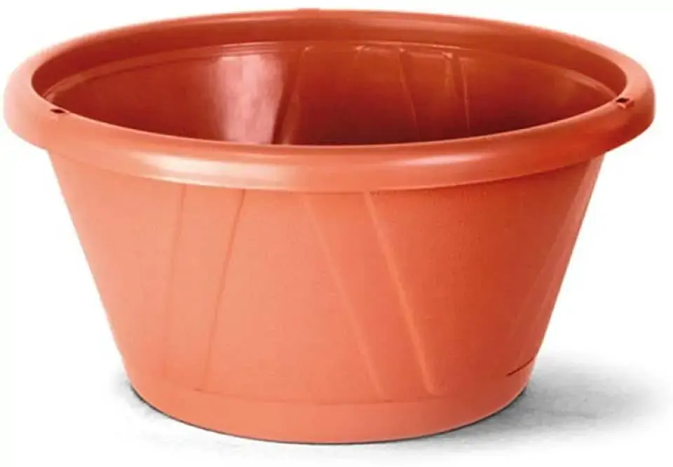 Cuia Nobre 0c/prato Ceramica Nutriplan