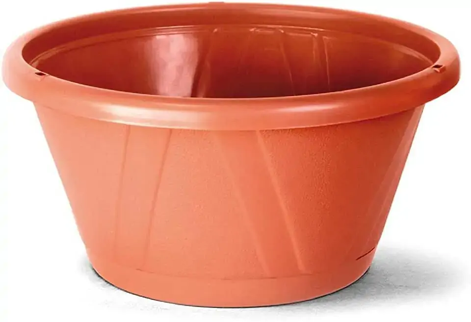 Cuia Nobre 01 5 Prato Ceramica Nutriplan