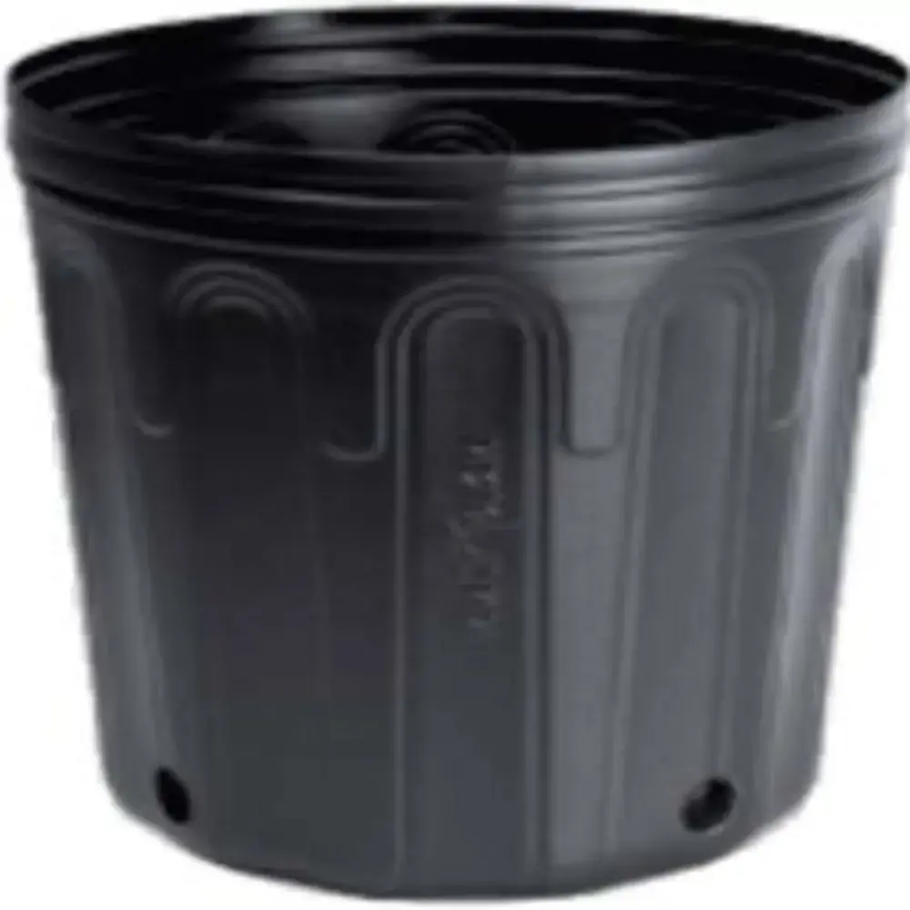 Pote Mole 10l