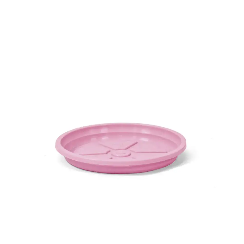 Prato 0,3 Rosa Bebe