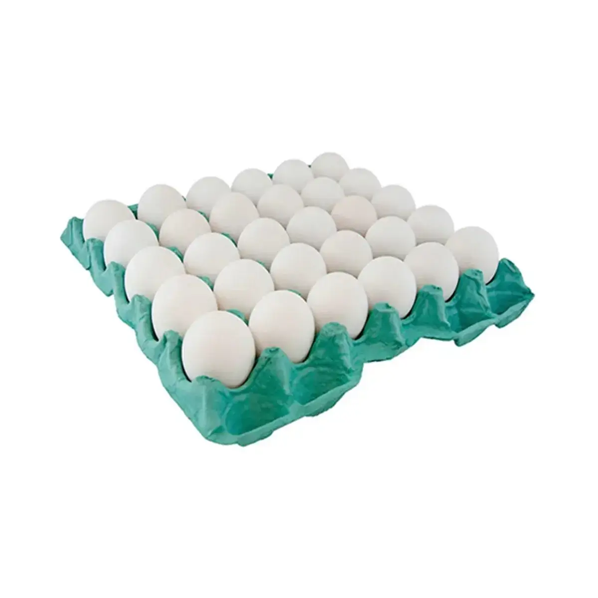 Ovos Extra Pvc Branco Tonon C/20