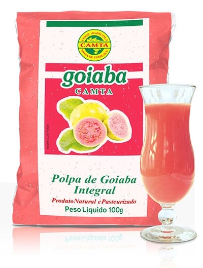 Polpa Camta 100g Goiaba