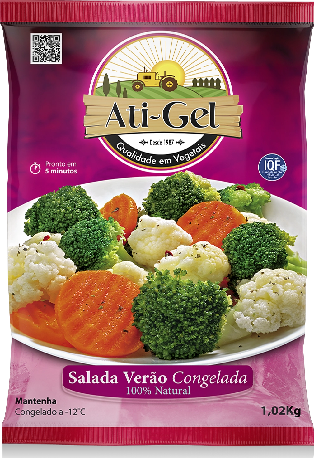 Salada Verão Congelada Ati Gel Pacote 1,02kg