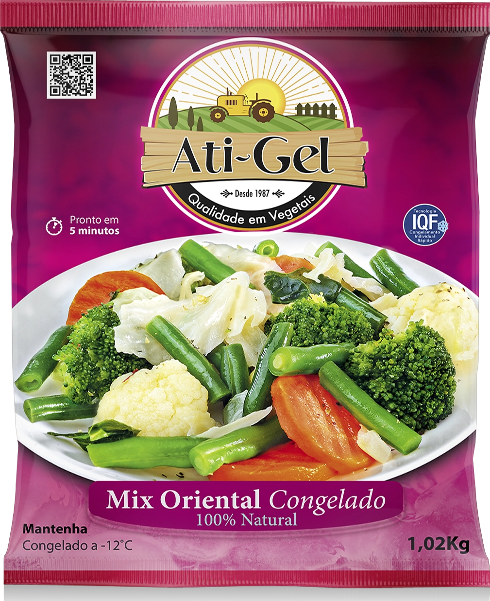 Mix Oriental Congelado Ati Gel Pacote 1,02kg