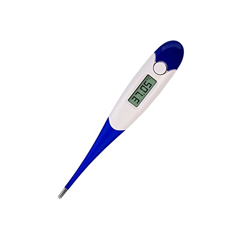 Termômetro Digital Flexterm Basal Haste Flexível - 1 unidade
