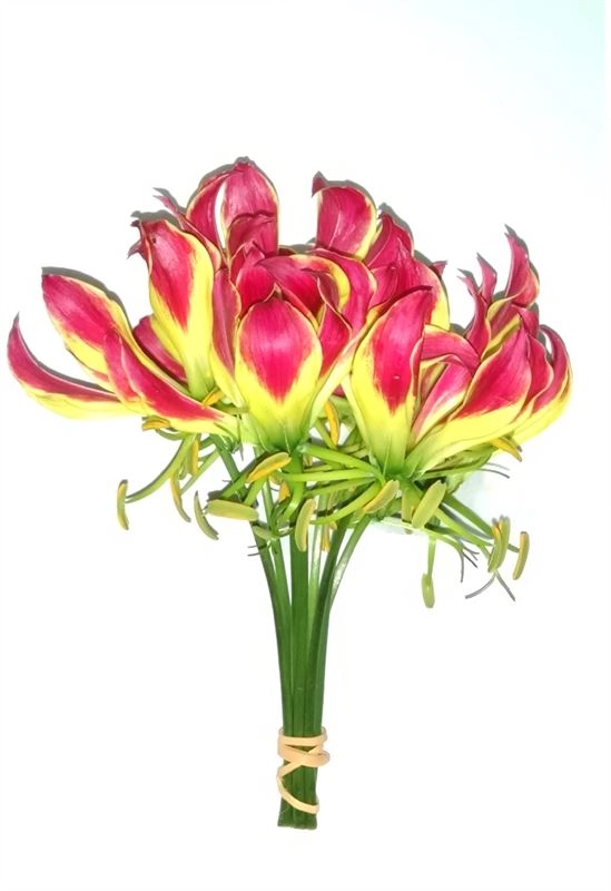 Gloriosa Un