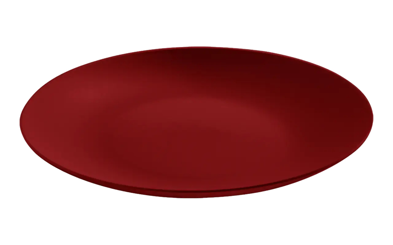 Prato Refeic 257mm Cozy Brinox Vbo