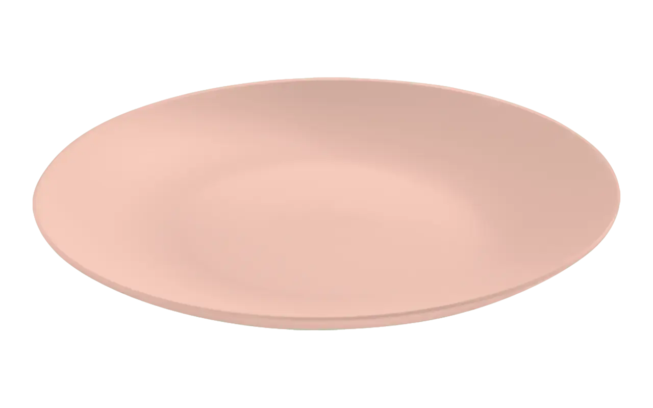 Prato Refeic 257mm Cozy Brinox Rbl