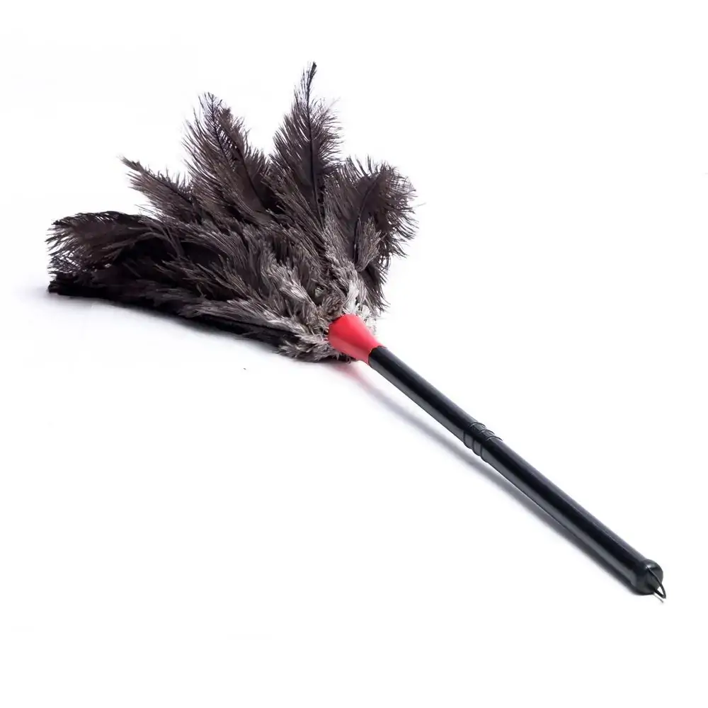 Espanador Duster N 50 1unidade