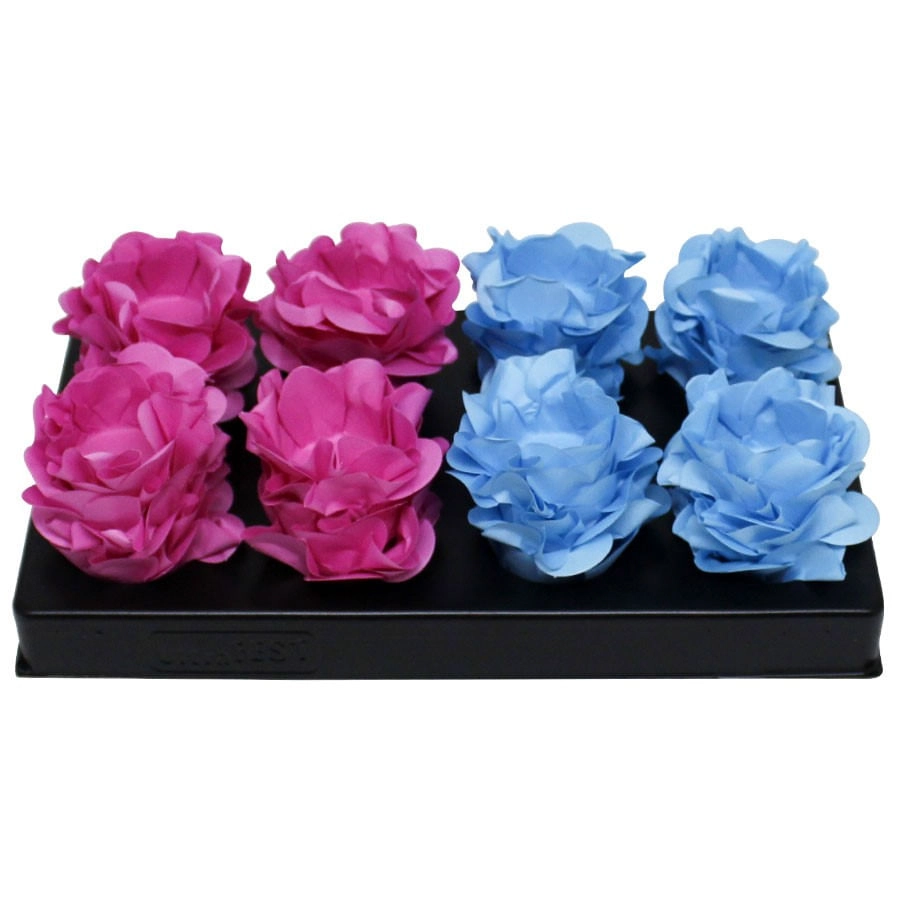 Forma Style Azul/rosa C/40un 446501 Color Concepts