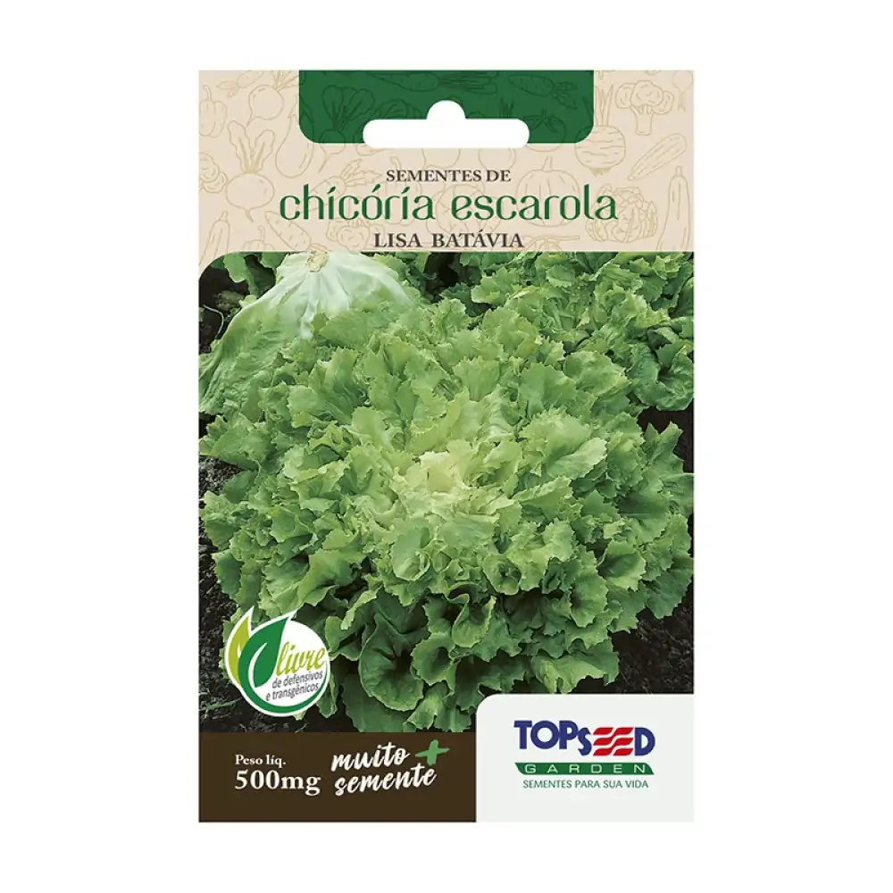 Semente Tops 0.50g Chicoria Escarola Lisa Batavia