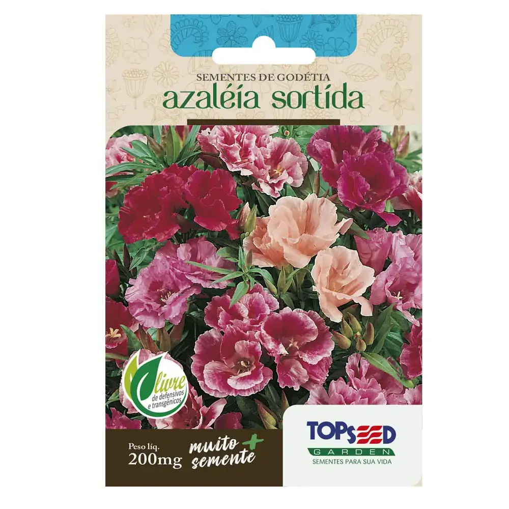 Sem.top Seed Godetia Azaleia Sor Unidade