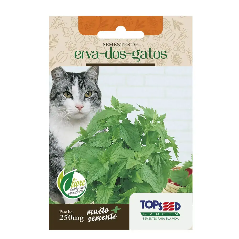 Sem Top Seed Erva Dos Gatos