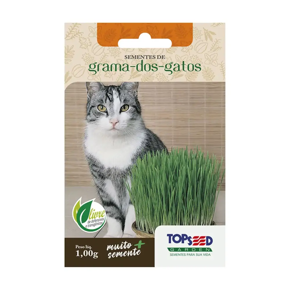 Sem Top Seed Grama Dos Gatos Unidade