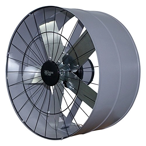 Exaustor 50 Cm Loren Sid 110v Un