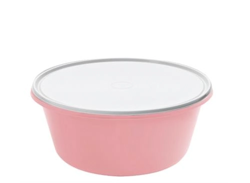 Organiza Hermetico Color 11lt