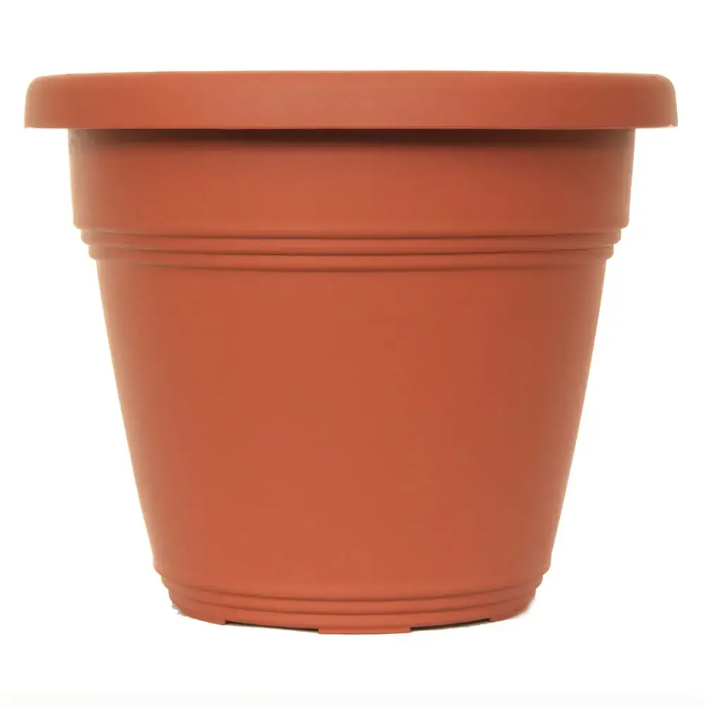 Vaso Vicenza 10 Cores