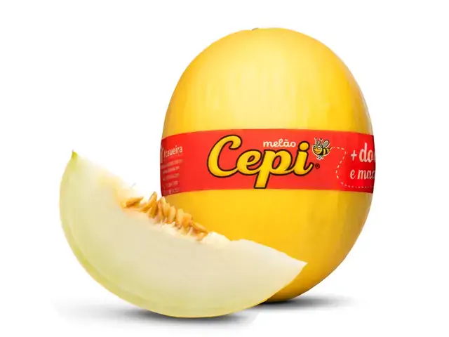 Melão Amarelo Cepi