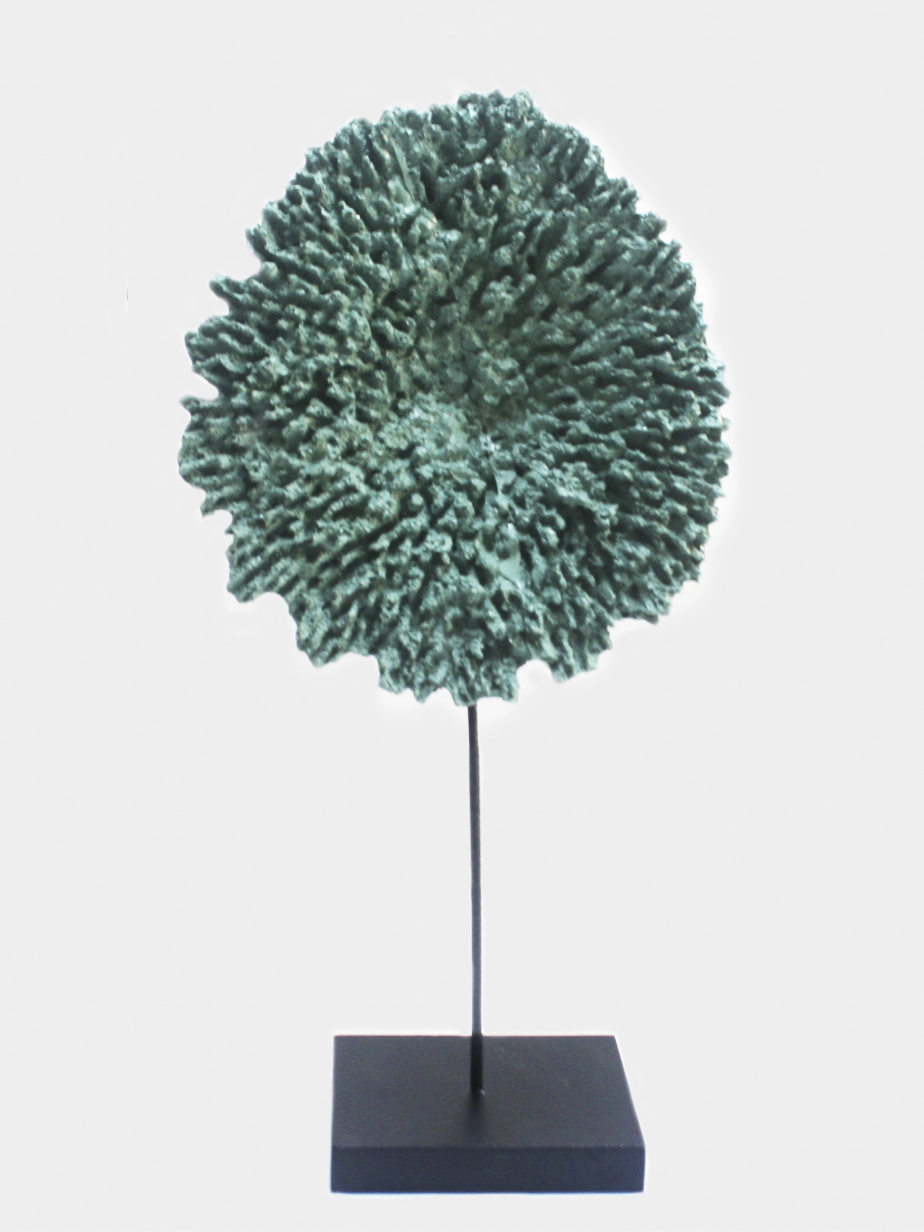 Adorno Coral Pedestal G 8286 Danvin