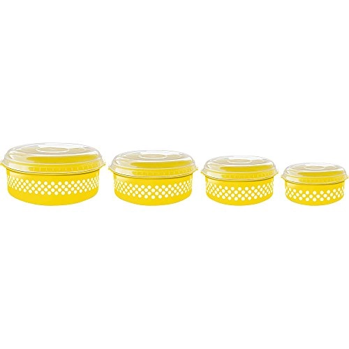 Pote Raso Injetemp 4pcs Dec Poa