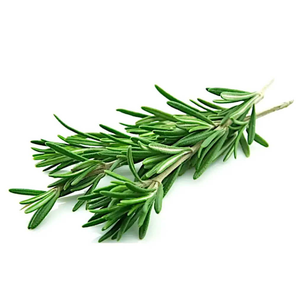 Horta Alecrim Unidade