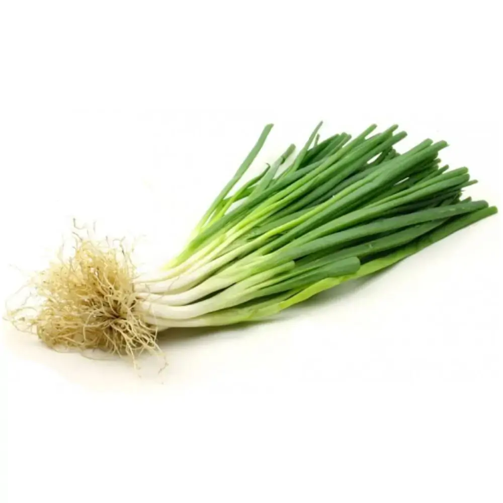 Horta Cebolinha
