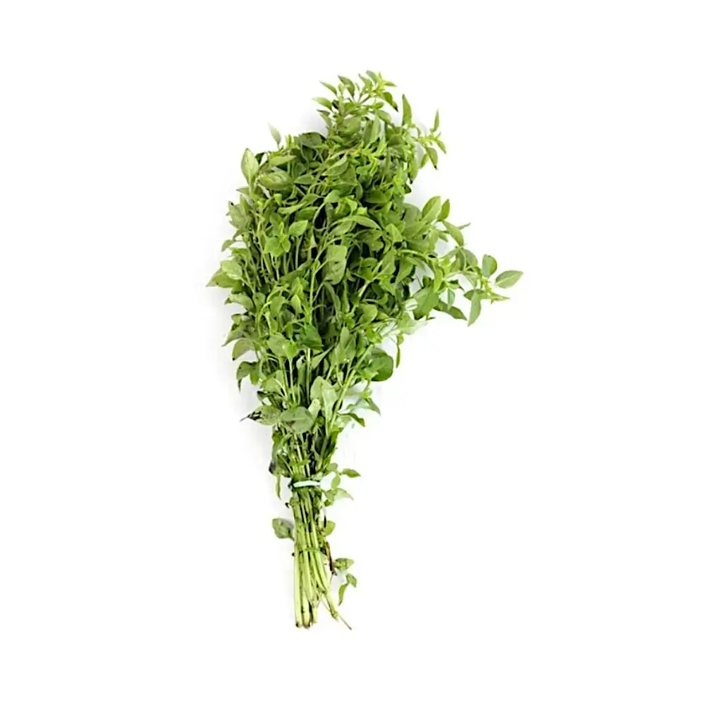 Horta Manjericao