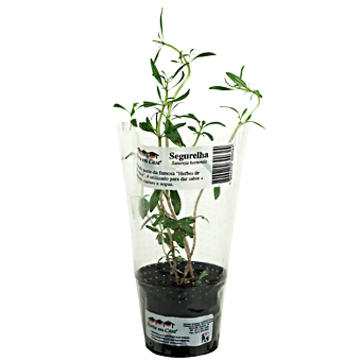 Horta Segurelha