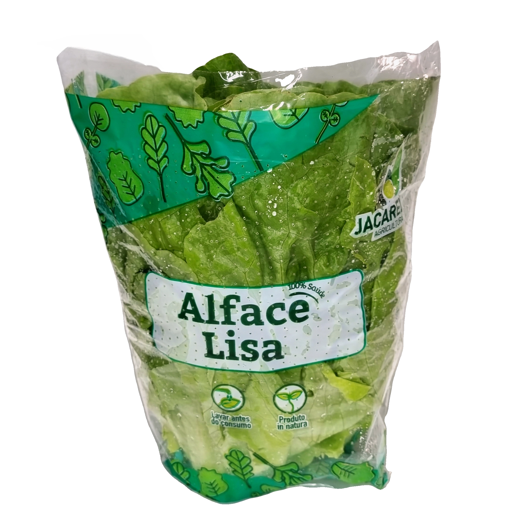 Alface Qualivita Crespa Hidroponica
