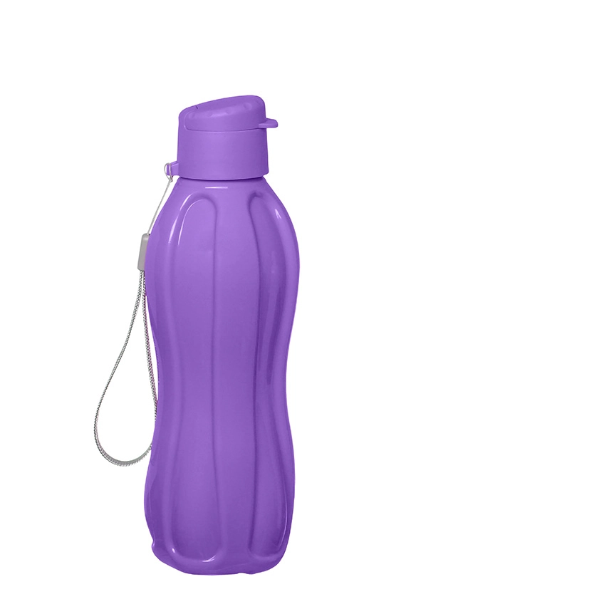 Squeeze Western Plast Solida Sortida 600ml