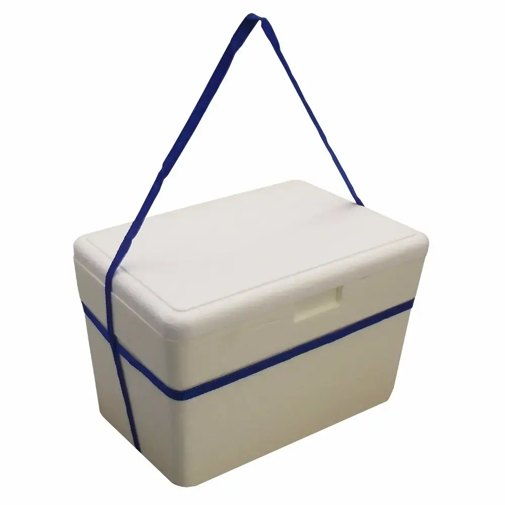 Caixa De Isopor 17 Lts C/ Alca Placterm