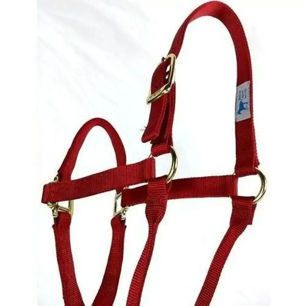 Guia Nylon Baw Waw 1mt