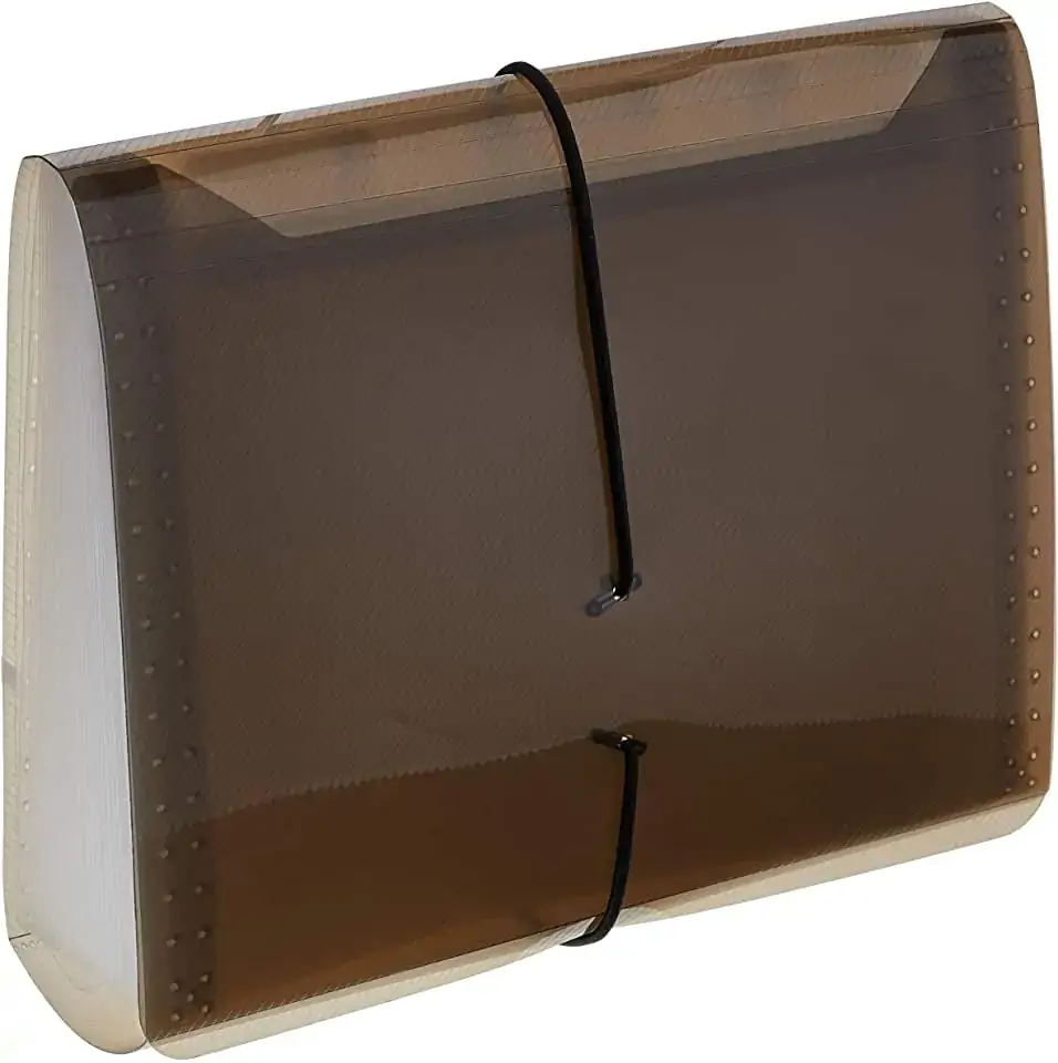 Pasta Sanfonada Duplic 31 Div Fume Acp