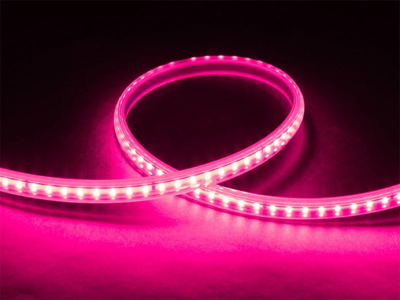 Fita Led Taschibra 5w/m 120 Leds Techcord Ip65 220v Valor Do Metro Rosa