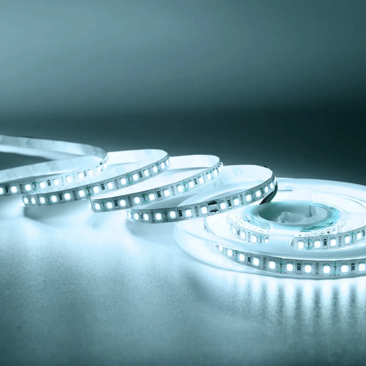 Fita De Led 16w 180 Leds/m 12v Taschibra Com 5 Metros 6500k Frio