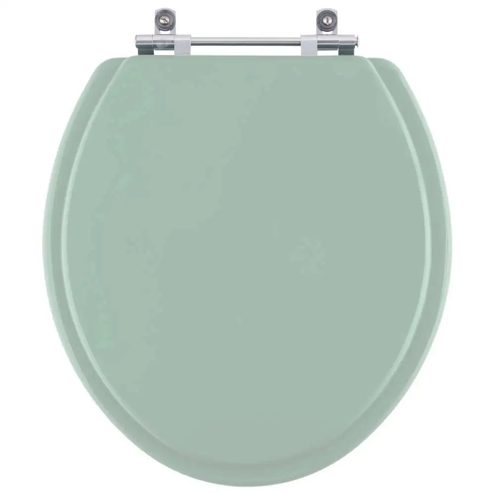 Assento Sanitário Convencional Verde Claro Para Todas As Louças