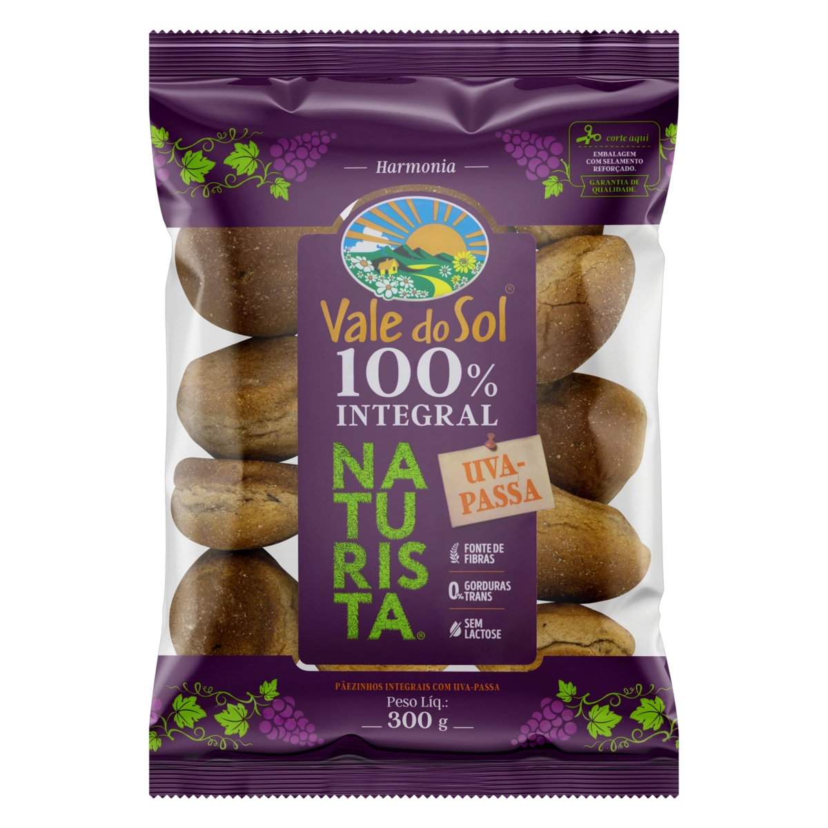 Pãezinhos Integrais Uva Passa Zero Lactose Vale Do Sol Naturista Pacote 300g