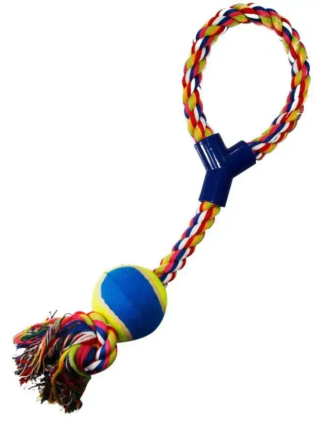 Brinquedo Cão Corda C Bola 41Cm Western Pet