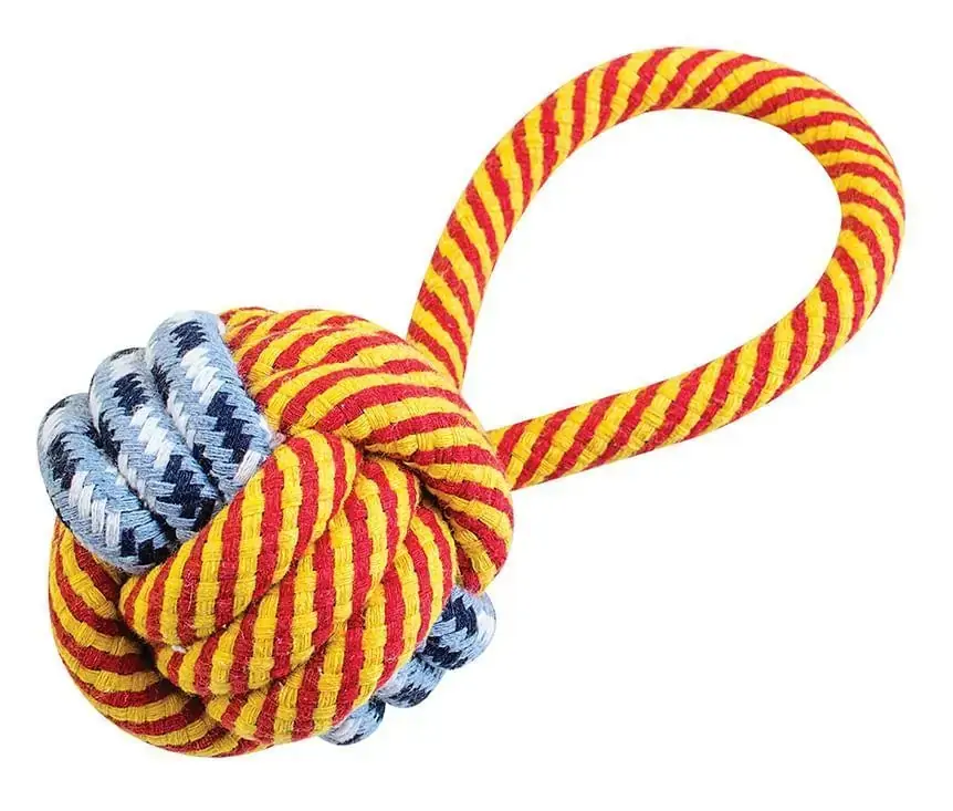 Brinquedo Cão Corda 23Cm Western Pet