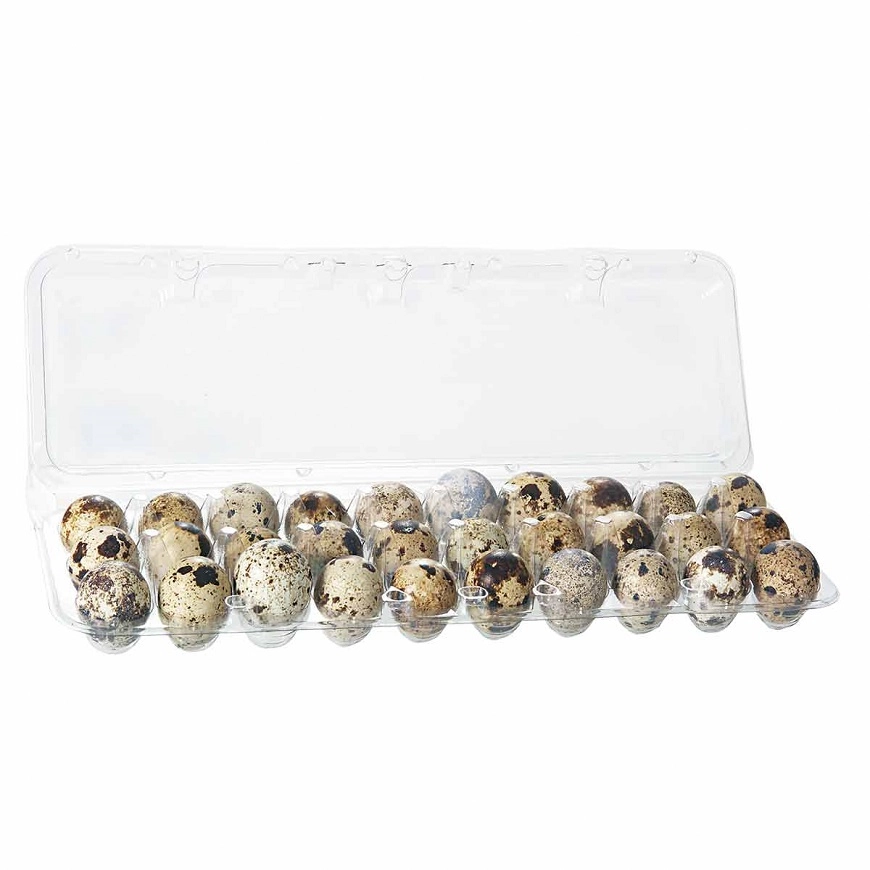 Ovos Nakaura De Codorna C/30