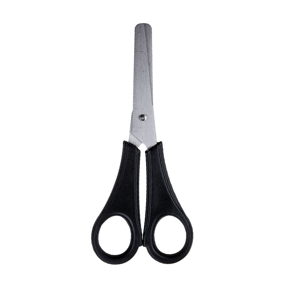 Tesoura Escolar 13cm Inox Leonoura