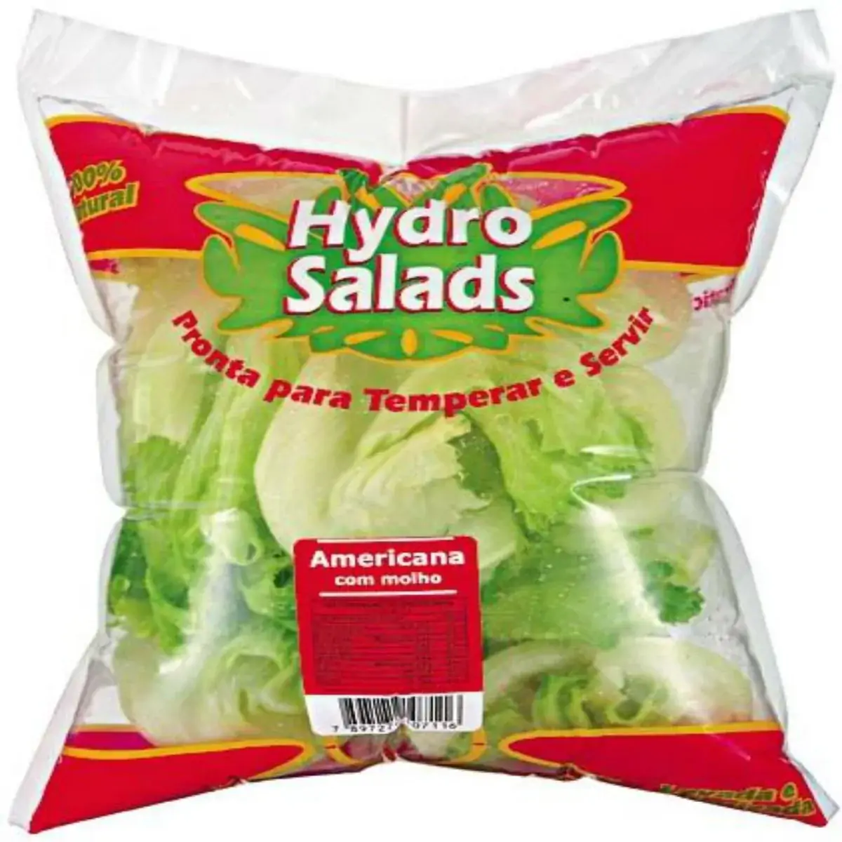Salada Americana com Molho HIDRO 200g