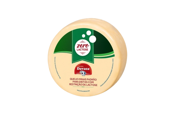 Queijo Minas Sem Lactose 500g Davaca