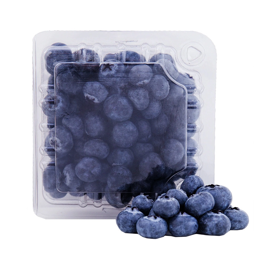 Blueberry Mirtilo 125g