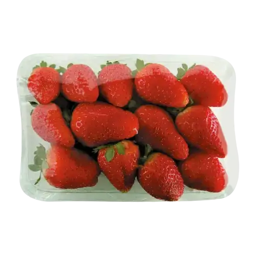 Morango Perboni Bandeja 300g
