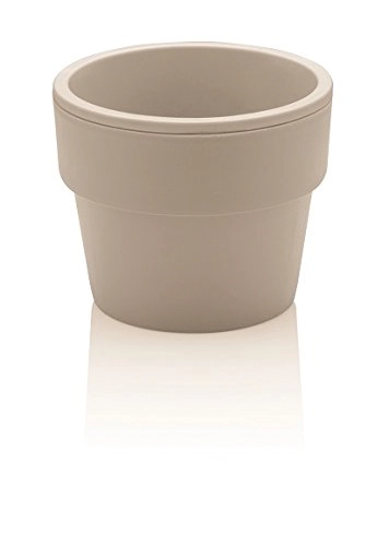 Vaso Ou C/aro Bege Pequeno